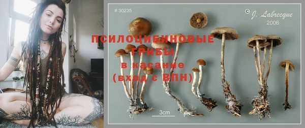 винт Касимов