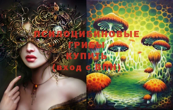винт Касимов
