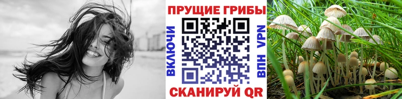 Купить  Ивангород  Псилоцибиновые грибы мицелий 